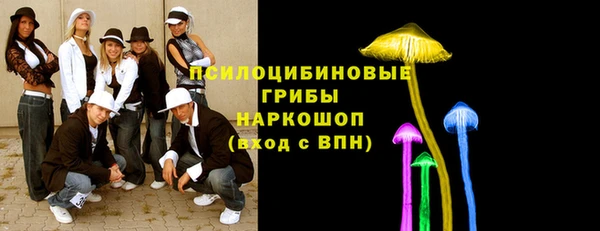 гашик Богородицк