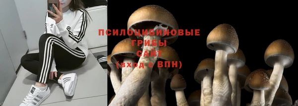 прущая мука Белоозёрский