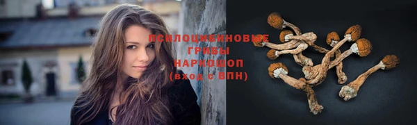 амфетамин Богородск