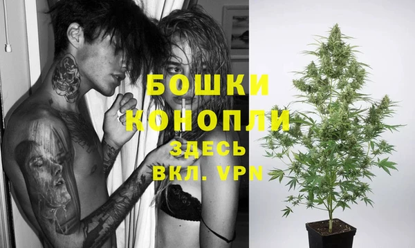 гашик Богородицк