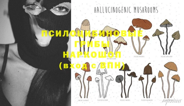 амфетамин Богородск