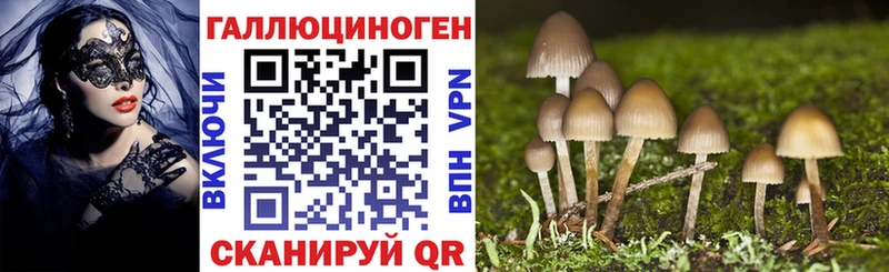 Купить закладки  Луховицы  Галлюциногенные грибы мицелий 